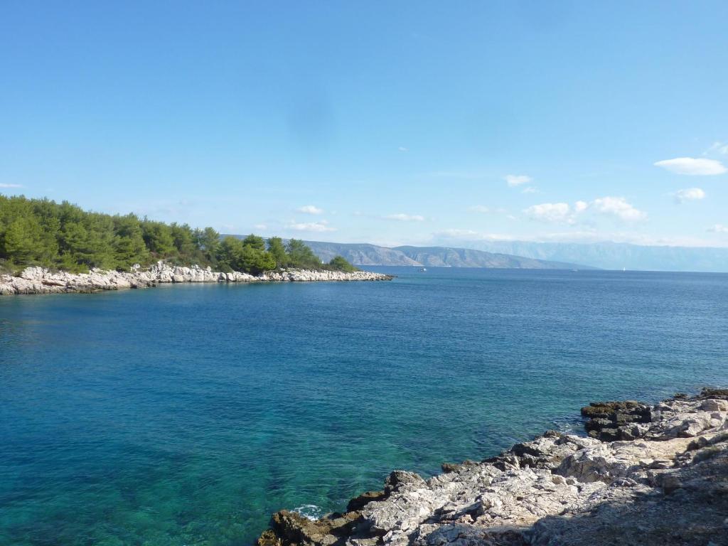 Apartments Antun photo 1