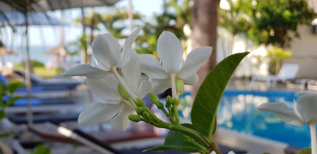 Sun & Sands Beach Hotel