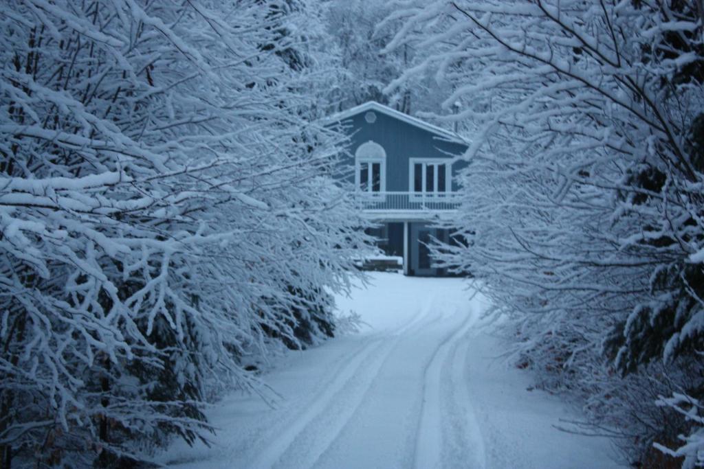 Chalets et Studios Le Vent Du Nord photo 3