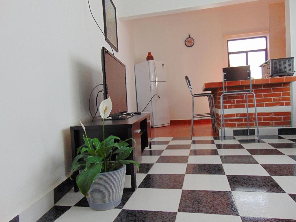Casa Viveros photo 4