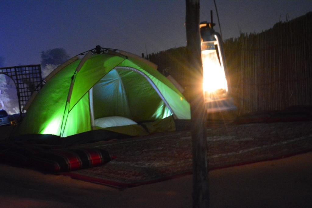 Номер (Шатер), Кемпинг Bedouin Oasis Camp
