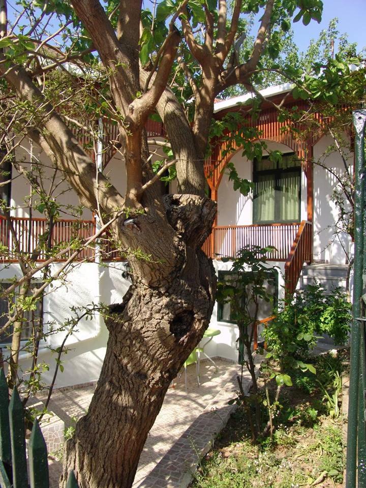 Orhan Kutbayin Evi photo 4