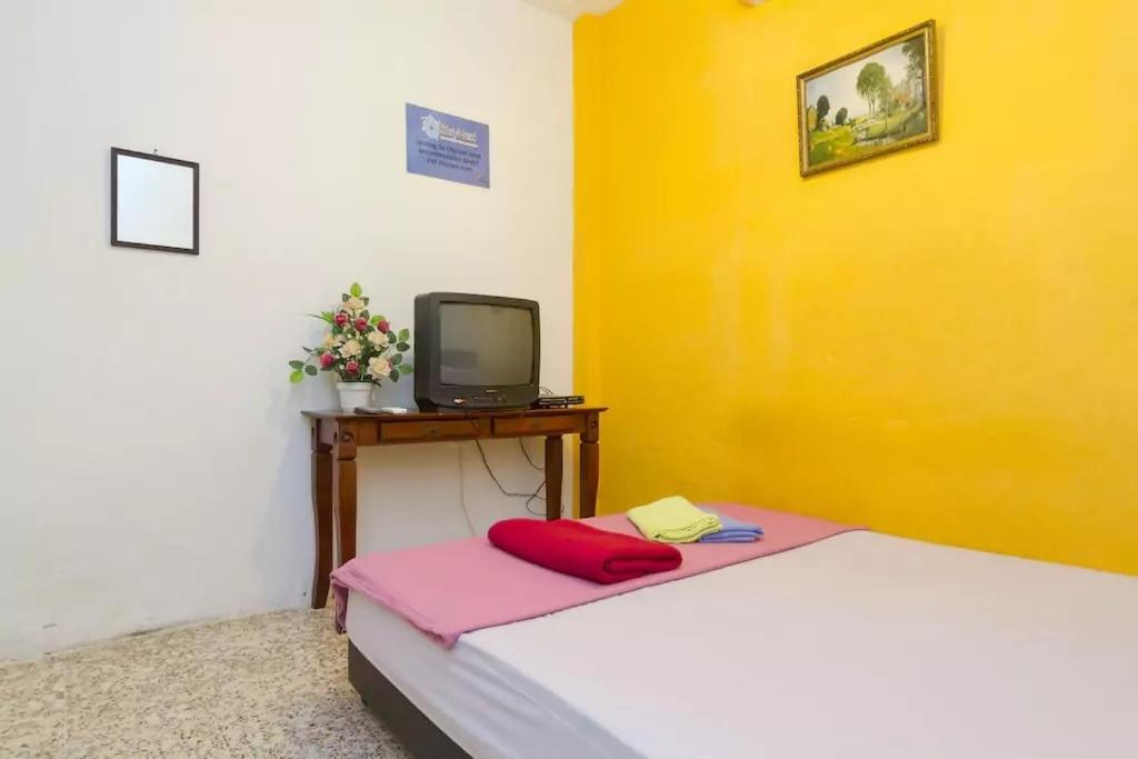 Cocoa Mews Cafe & Homestay - Hostel - Tap to explore photos
