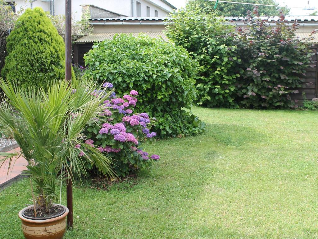 Charming Apartment in Rerik with Fenced Garden photo 3