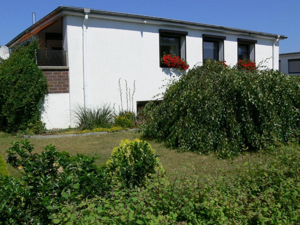 Charming Apartment in Rerik with Fenced Garden photo 2