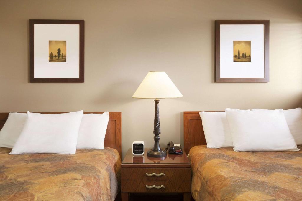 Central Suite Hotel photo 1