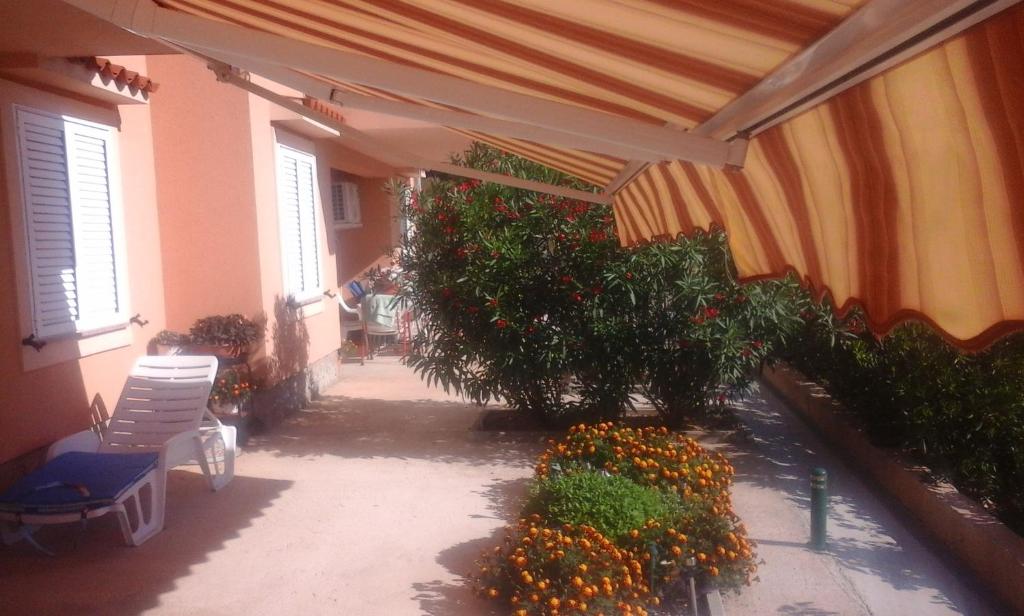 Apartments Jela photo 4