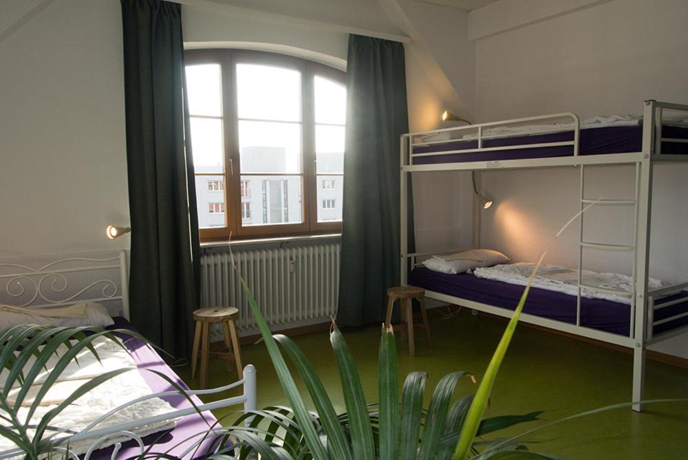 Номер (Кровать в общем 4-местном номере для мужчин и женщин), Steffis Hostel Heidelberg