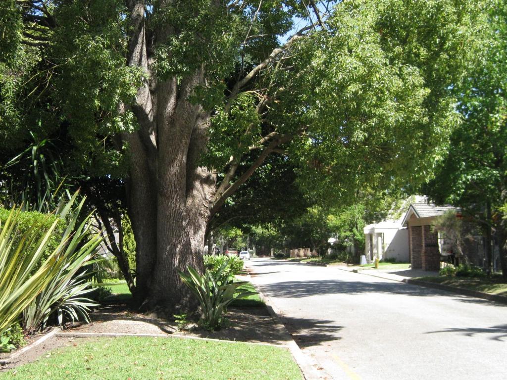 EdenNook photo 1