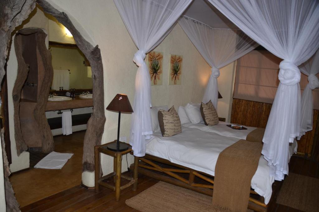 Moholoholo Forest Camp photo 1