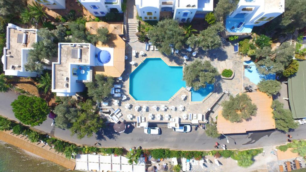 Omar Hotel & Suites photo 3