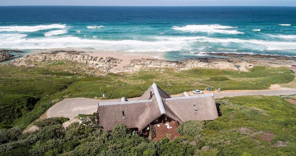 Oyster Bay Beach Lodge photo 4