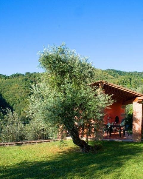 L'Agrumeto photo 4