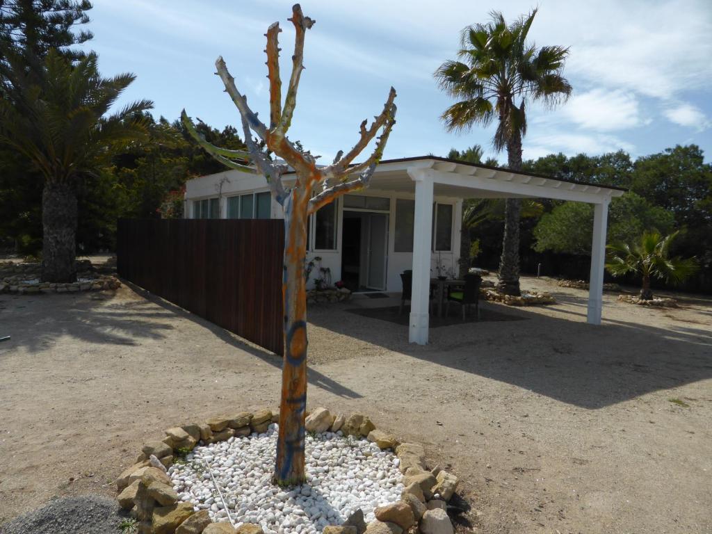 Casa Jardin photo 2