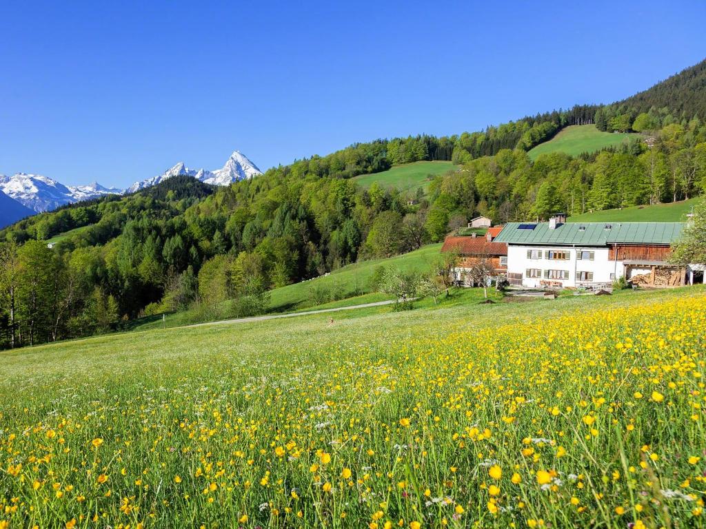 Bauernhof Vorderstiedler photo 1