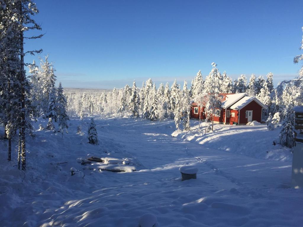 Fjällhus 1 photo 1