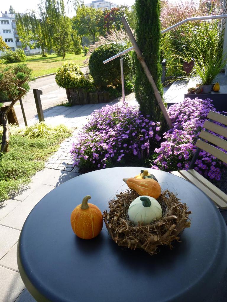 Ambiente in Karlsruhe City photo 4
