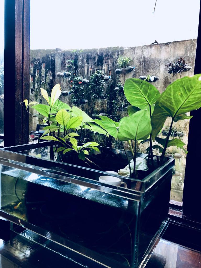 Khách sạn Star Bình Dương