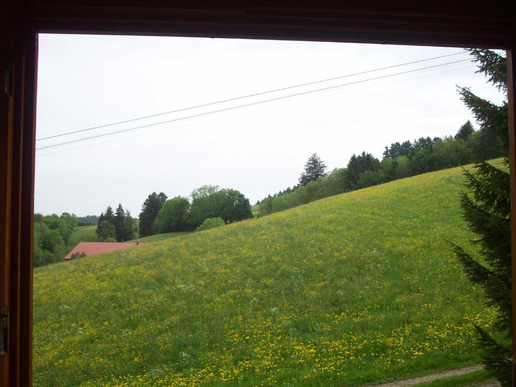Fewo am Skihang / Bergwiese photo 4