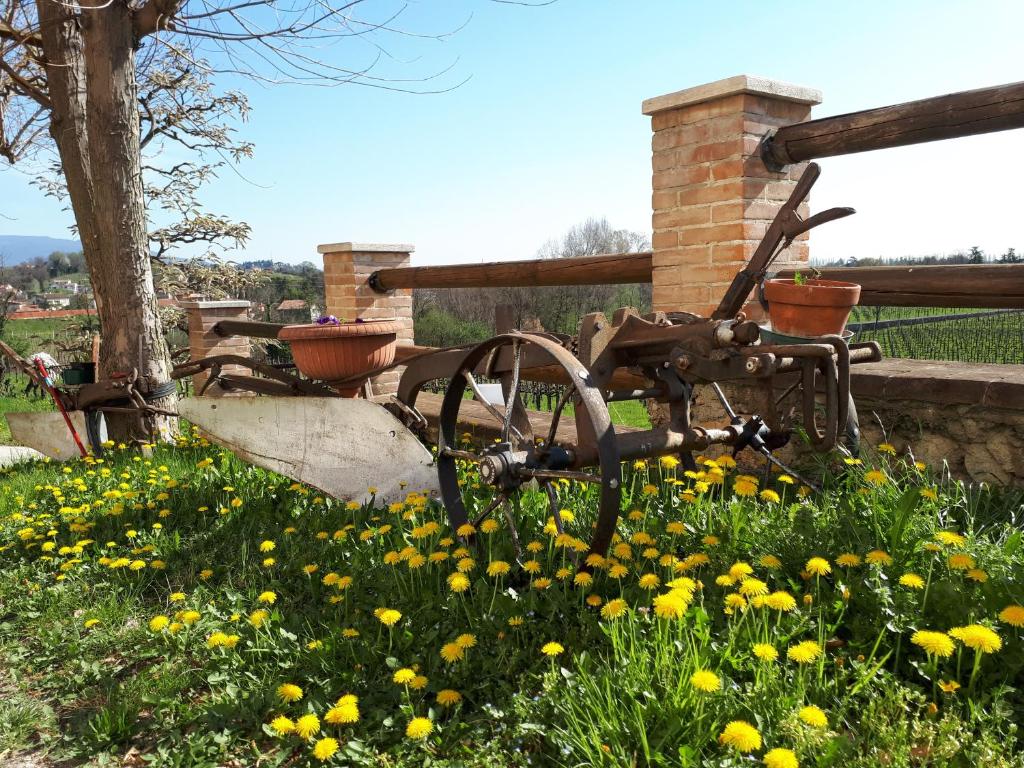 Terre Boscaratto photo 3