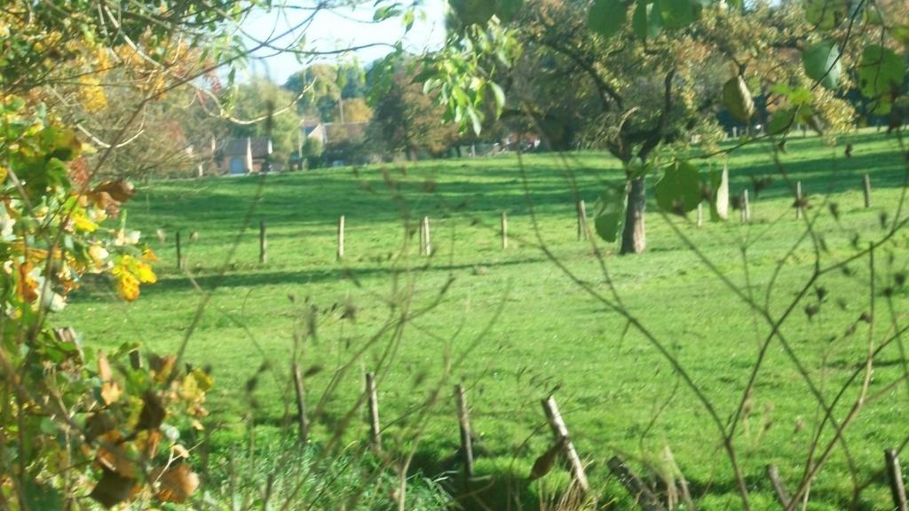 'tMaelhof photo 3