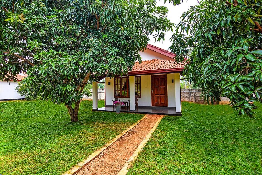 Dambulla Hills Resort photo 1