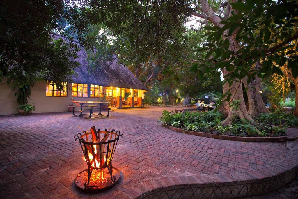 Island Safari Lodge photo 1