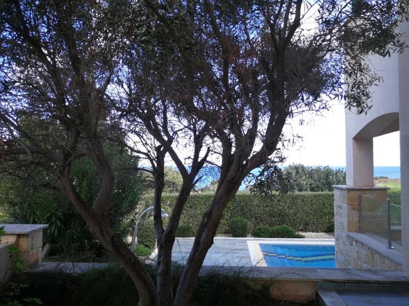 Amorosa Villas photo 3
