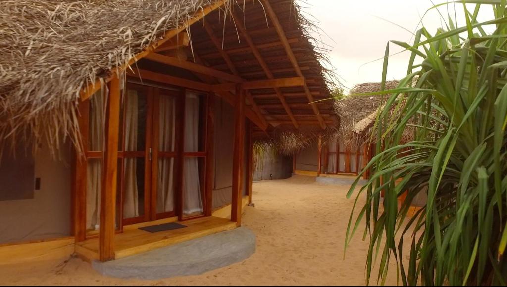 Номер (Шатер), Jungle Beach Camp