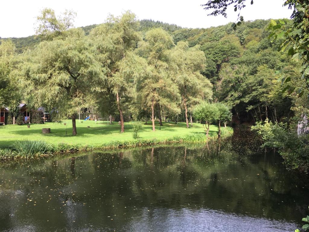 Dirbach Plage Parc photo 4