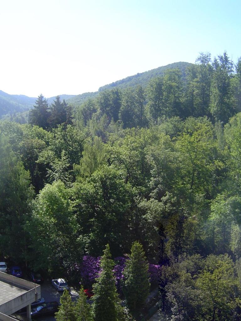 Appartement Scharf photo 4