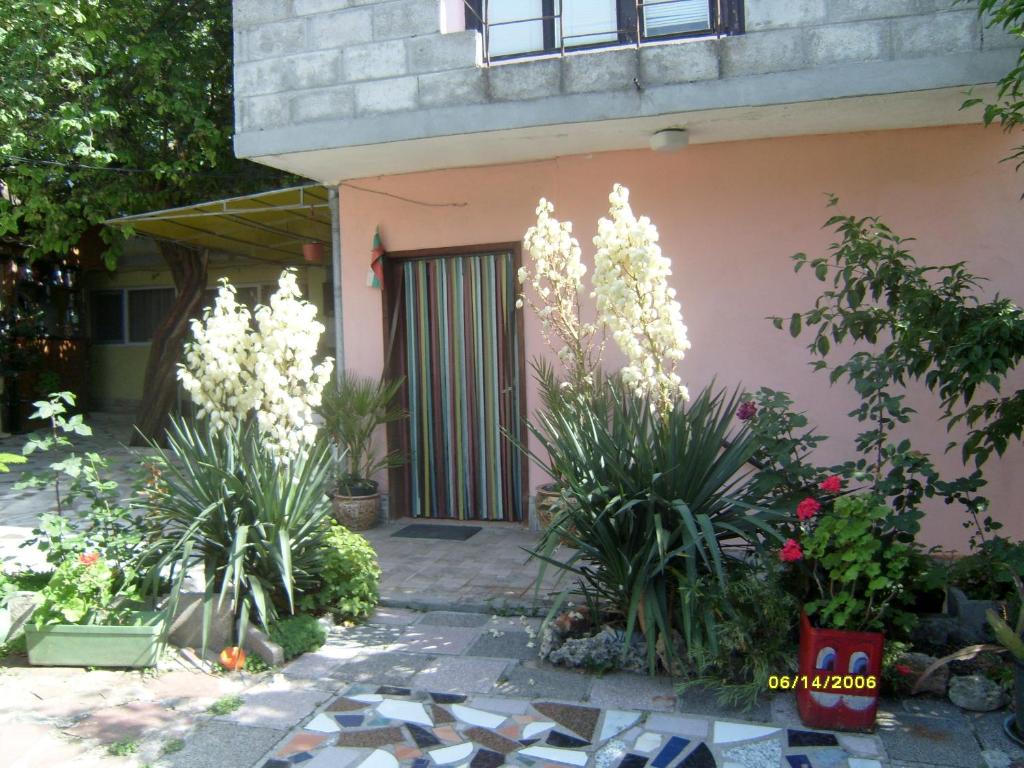Villa Trakia photo 3