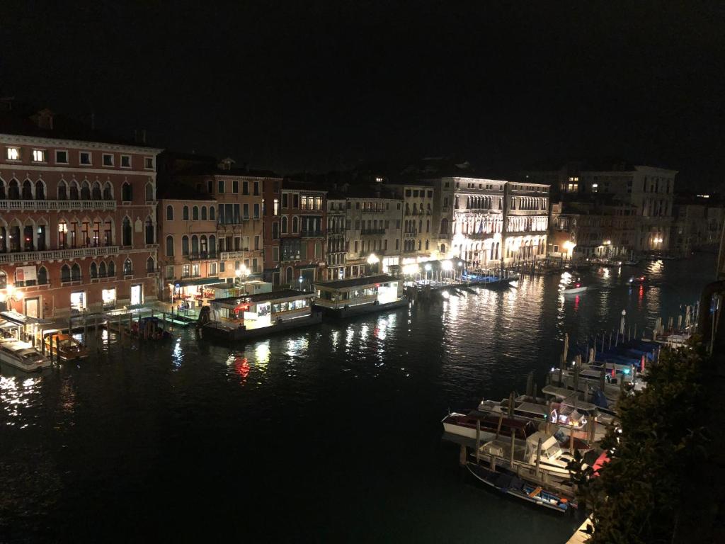 Rialto Terrace on the Grand Canal photo 1