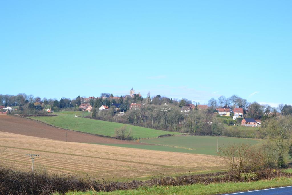 Au Petit Jardin photo 2
