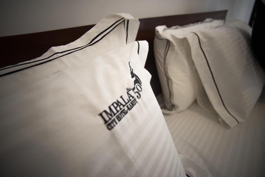 Двухместный (Номер Делюкс с кроватью размера «king-size»), Impala City Hotel and Hostel Kandy 50