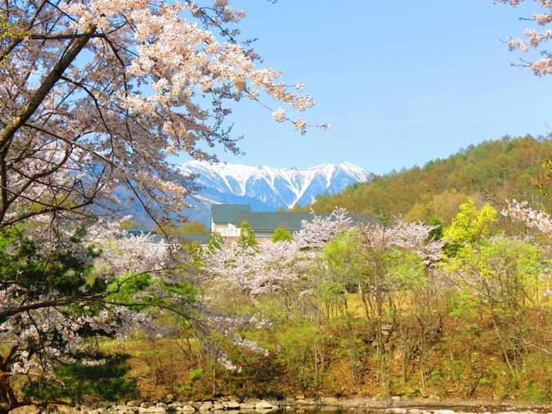 Azumino Hotaka View Hotel photo 4