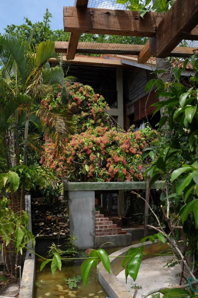 Вилла (Вилла с видом на сад), Panji Panji Tropical Wooden Home