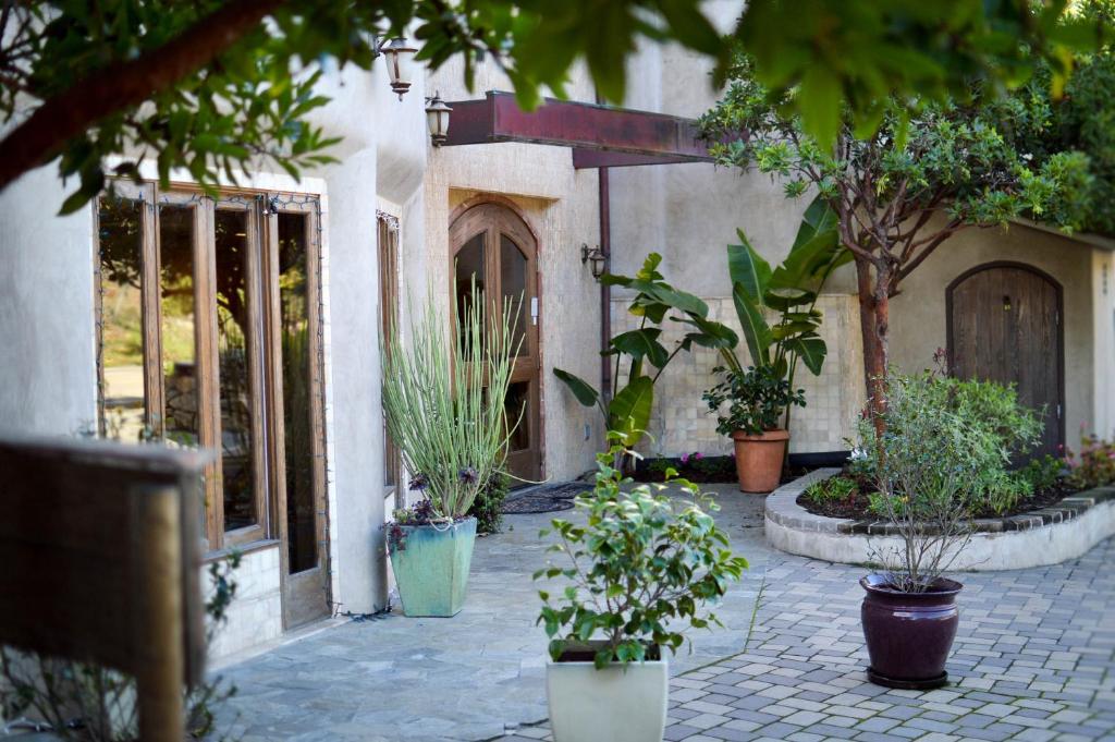 El Colibri Hotel & Spa photo 4