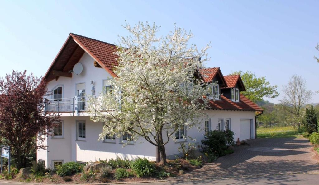 Ferienwohnung Kredig photo 1