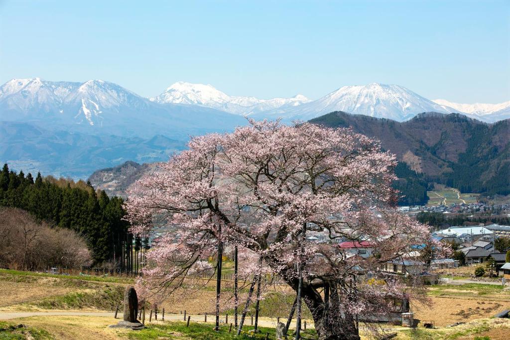 Ryokan Warabino