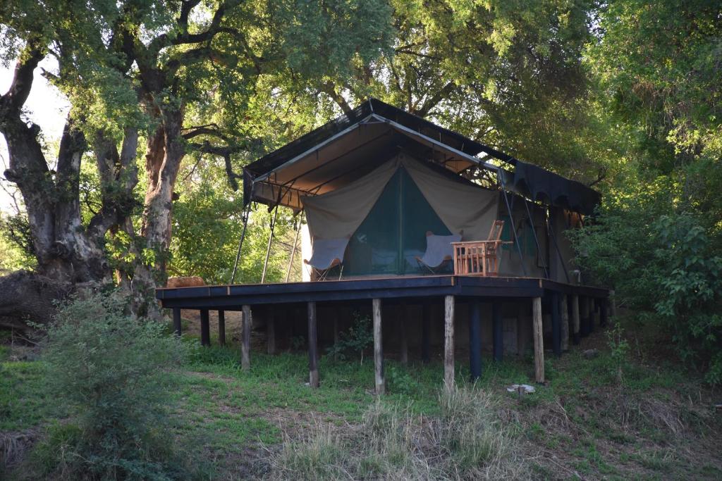 Koro Island Camp photo 3