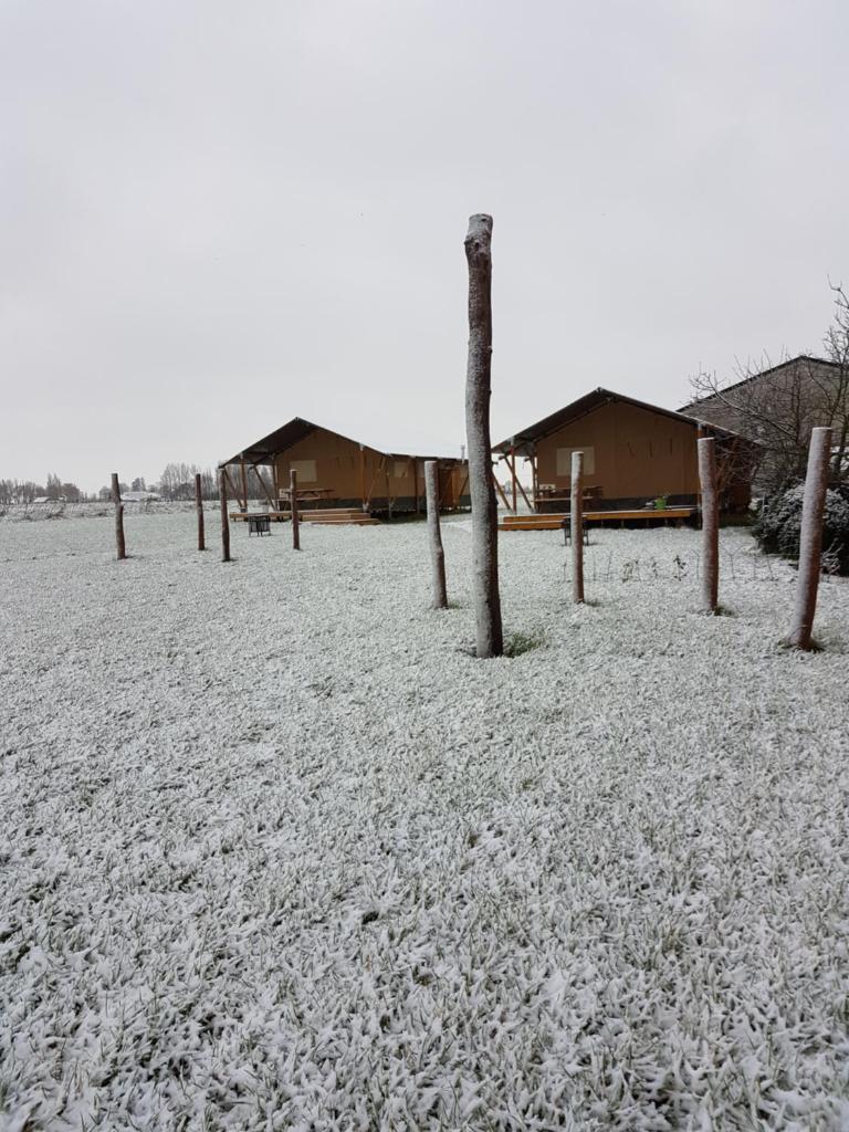 Glamping op het Zeugekot photo 4
