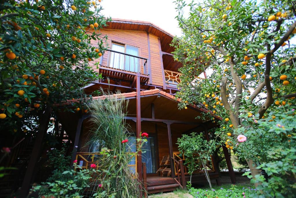 Bahçe Villa photo 3