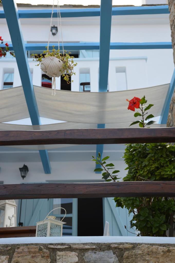 Stella's traditional house. photo 2