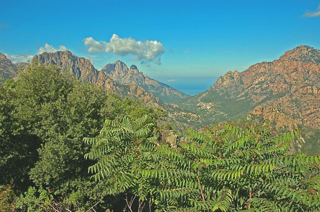 Castel de Vergio photo 4