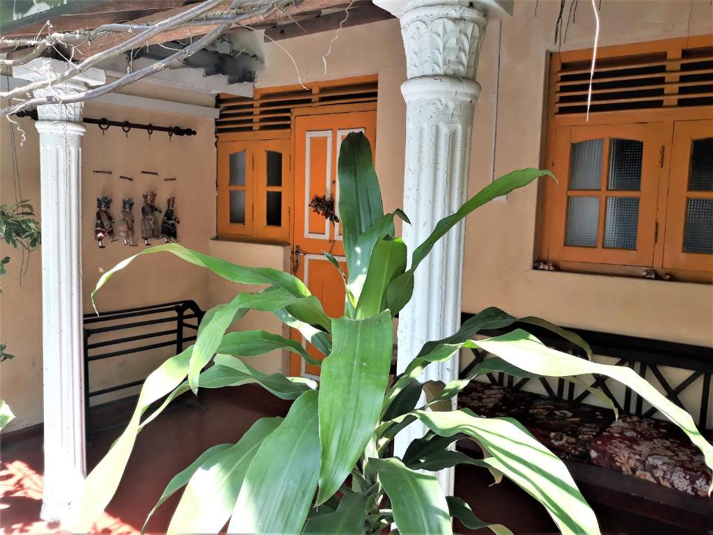 Одноместный (Просторный одноместный номер), The Icebear Guesthouse
