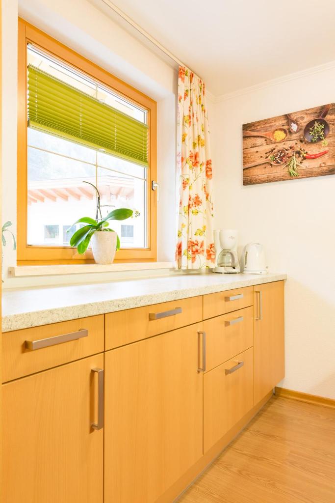 Haus Schöpf photo 4