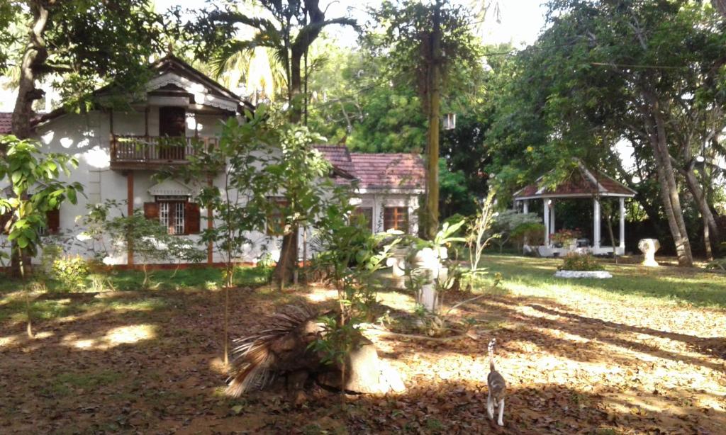 Kurunduwatta Villa photo 1
