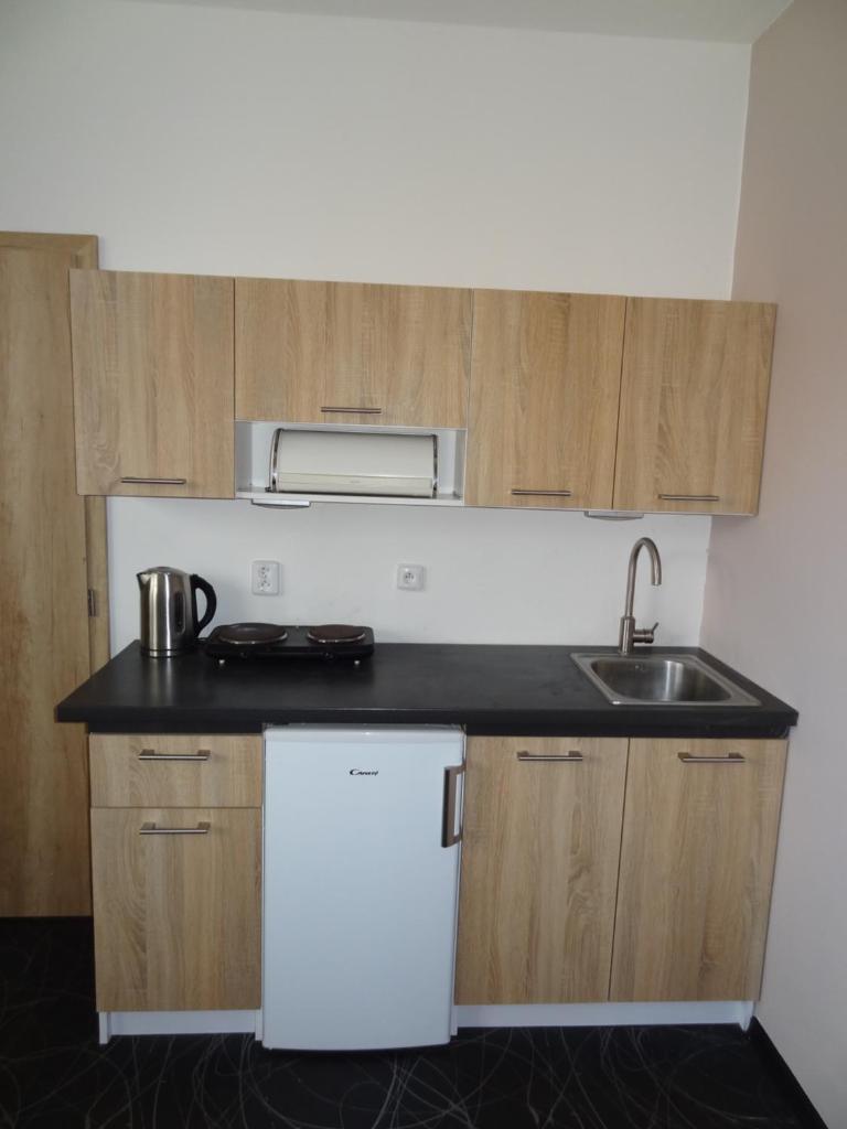 Apartmán Lednická photo 3