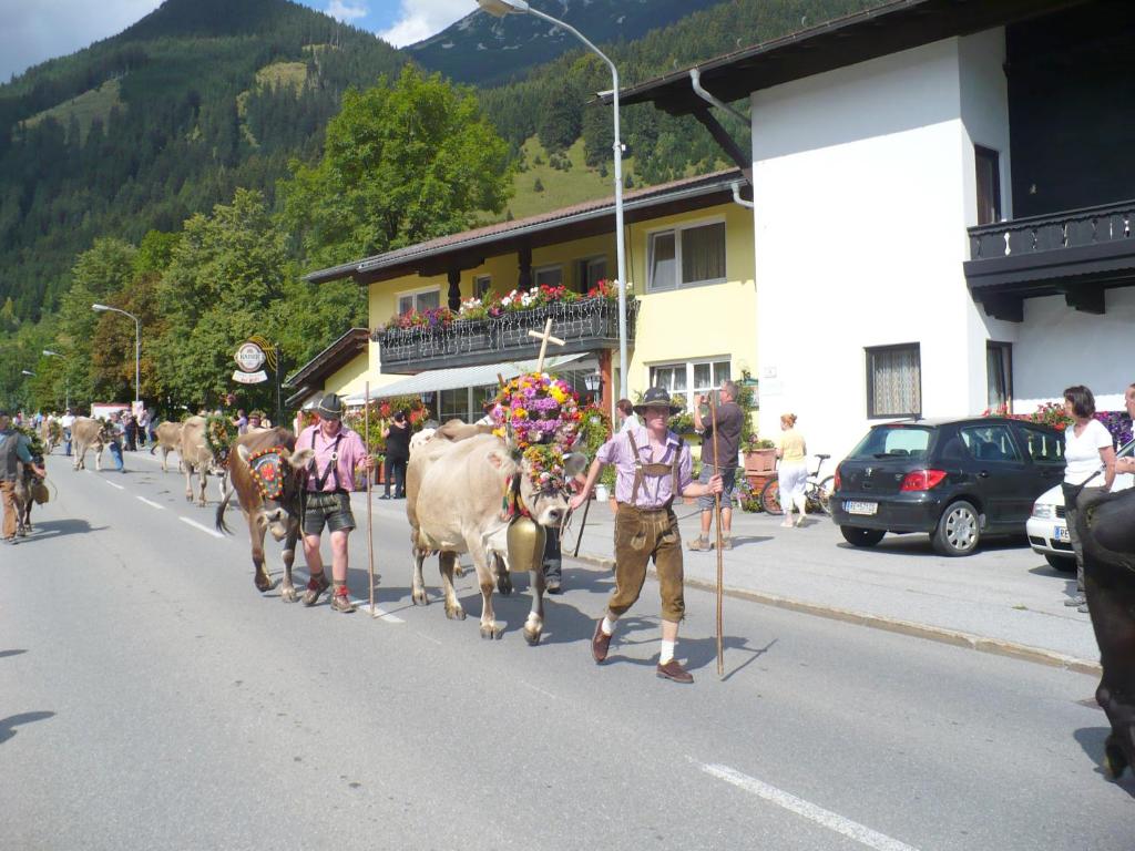Haus Panorama photo 1